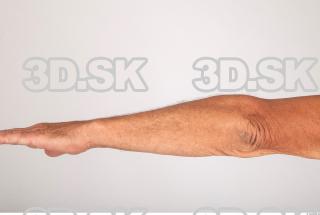 Forearm texture of Augustyn 0001